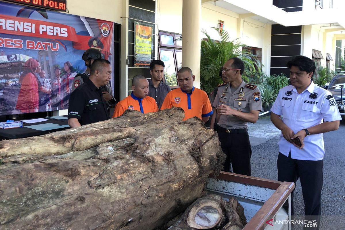 Polisi tangkap dua orang penjual kayu hasil pembalakan liar