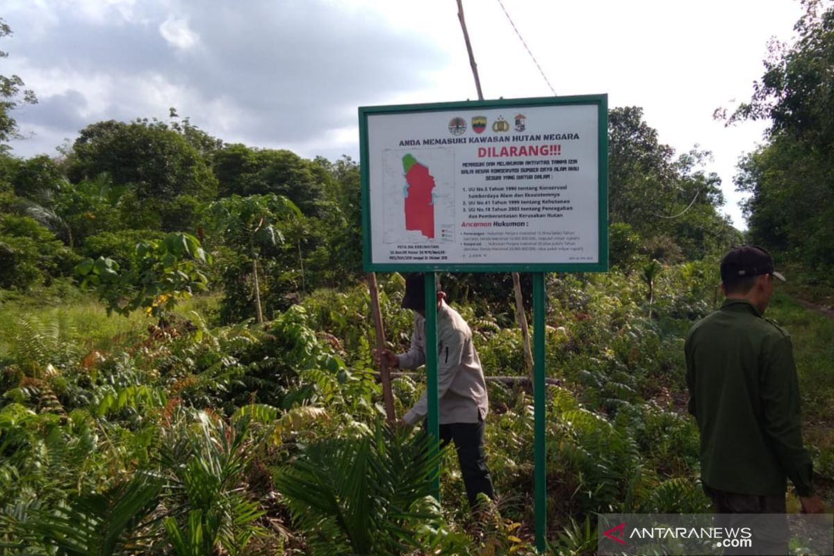 BBKSDA Riau pasang 14 plang larangan di SM Kerumutan, ini tujuannya