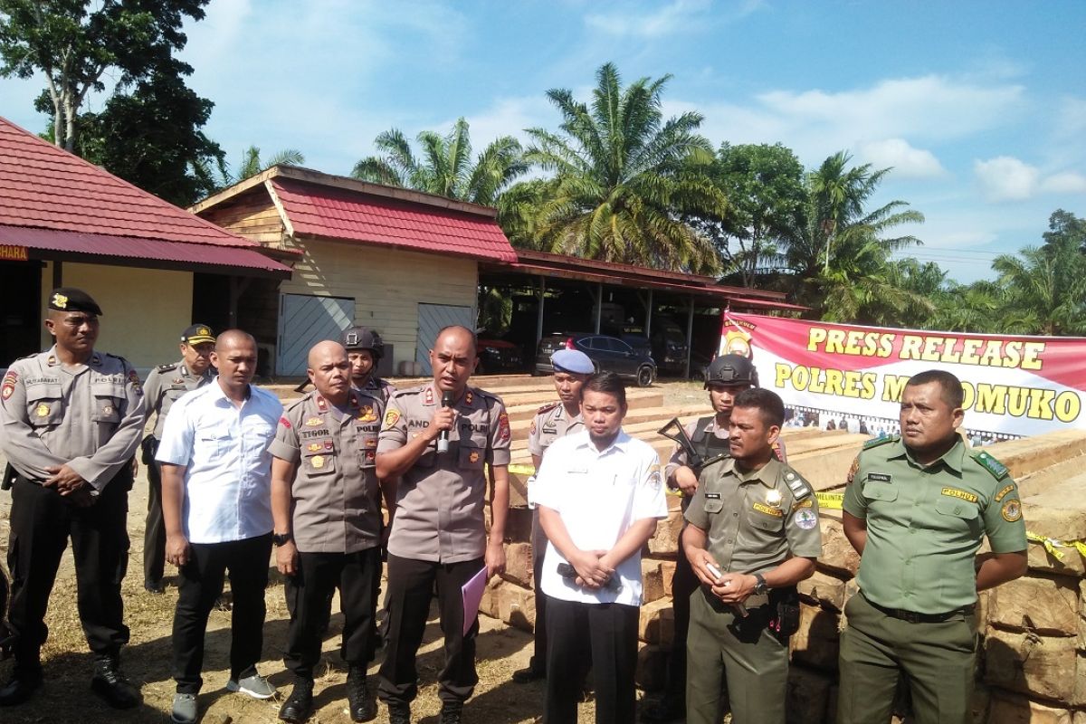 Polisi selidiki pemilik ratusan batang kayu ilegal di Bengkulu