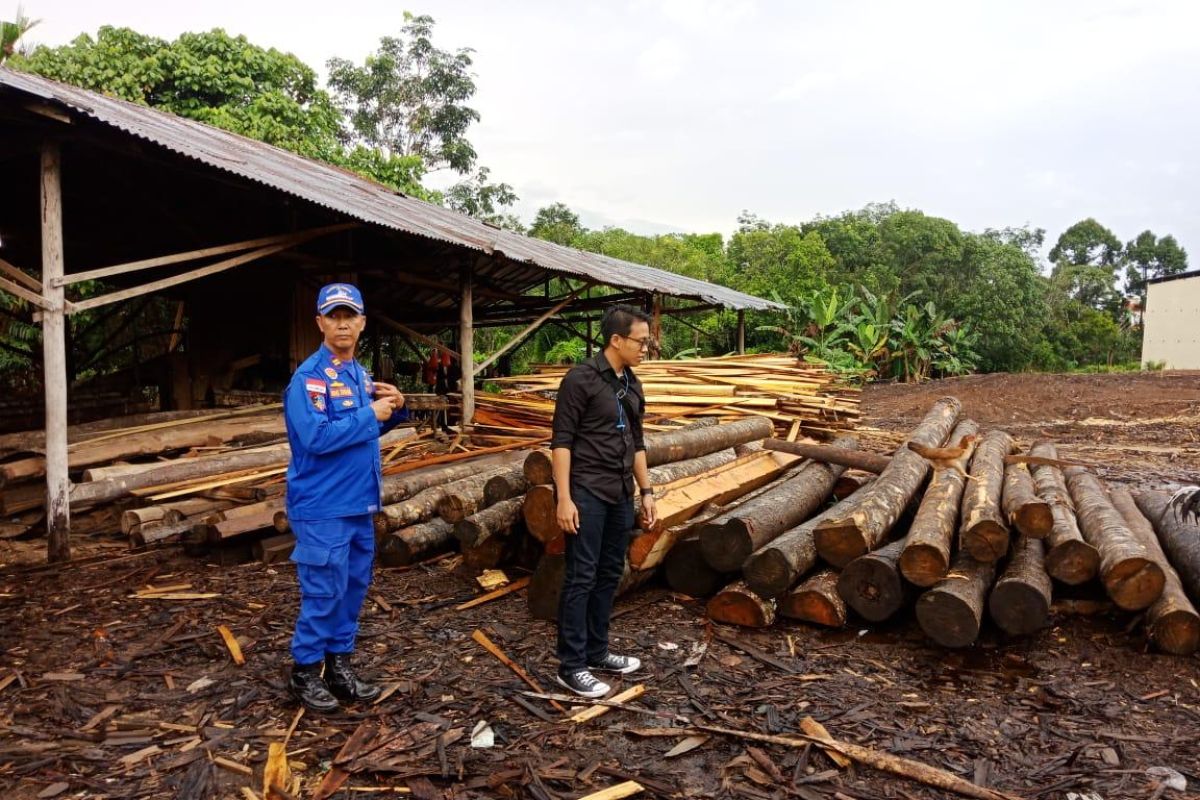 Ditpolair Polda Kalbar sita 850 batang log dan kayu olahan ilegal