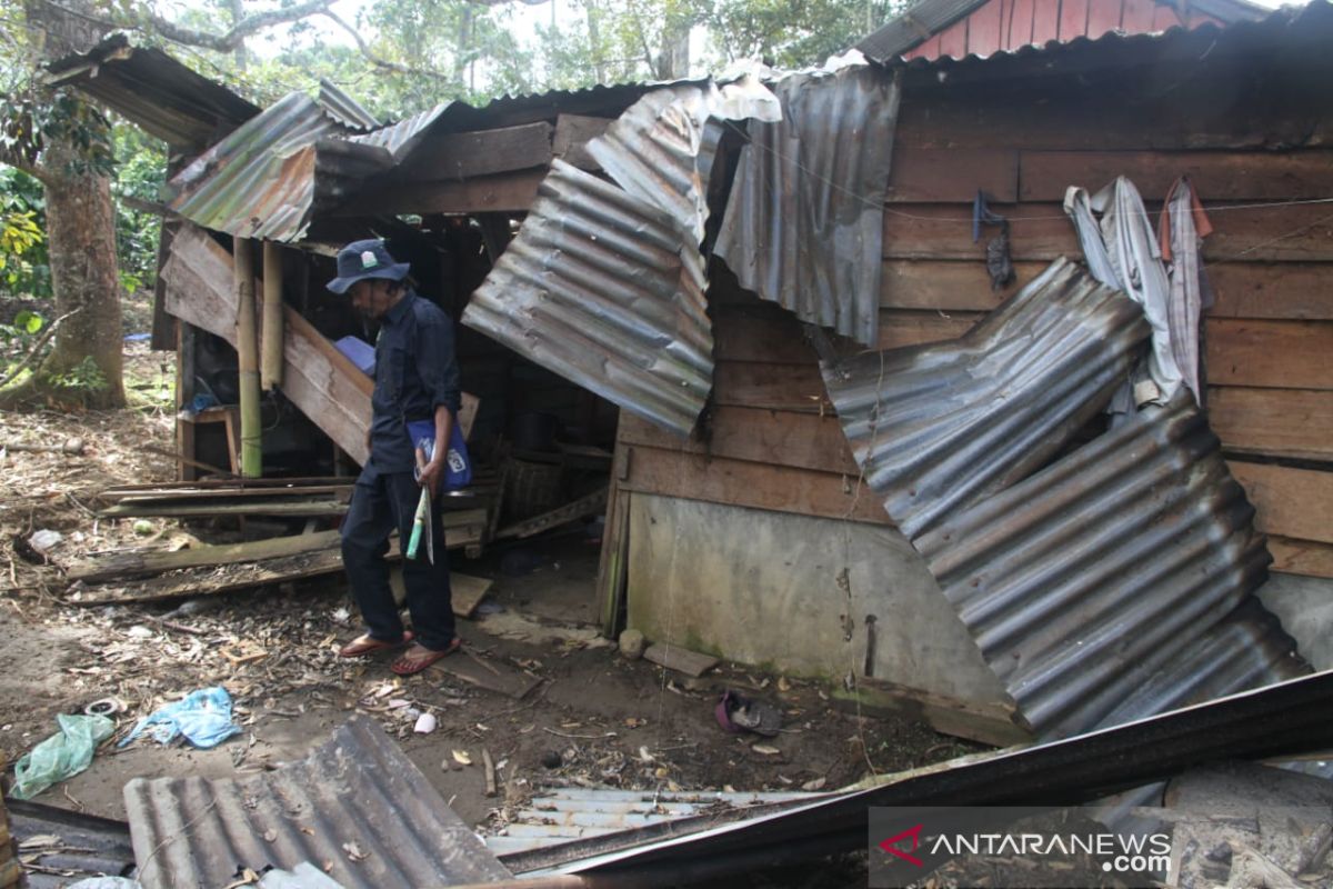 Pemerintah diminta cari solusi terkait gajah liar rusak rumah warga