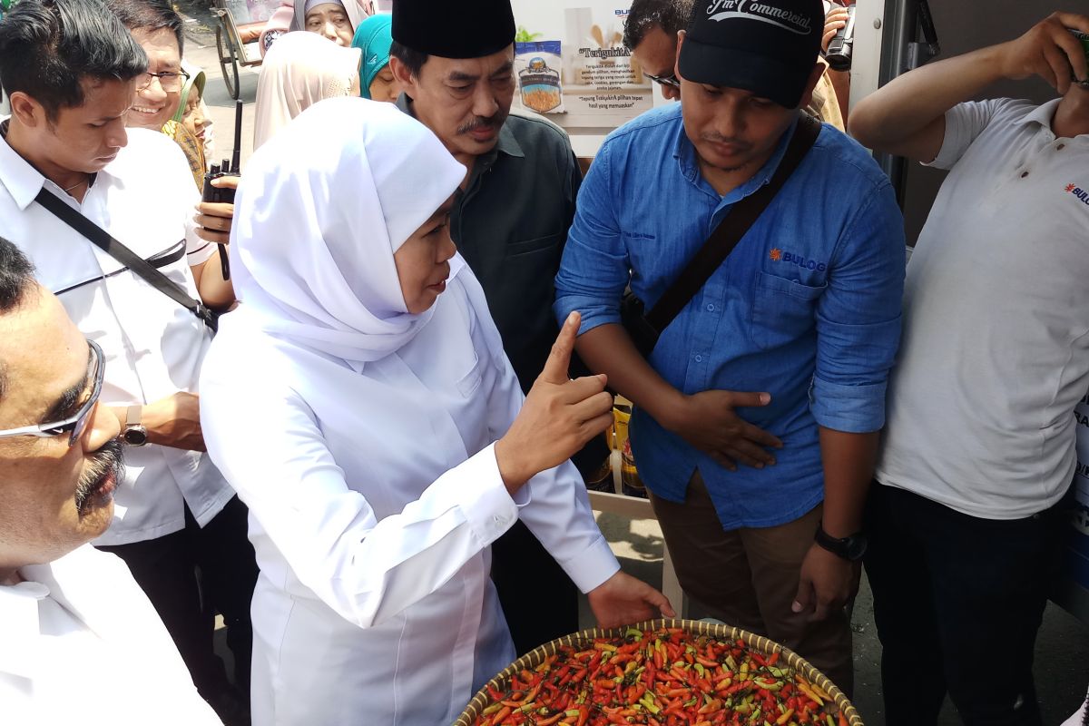 Gubernur Khofifah sebut kelangkaan cabai karena faktor alam (Video)