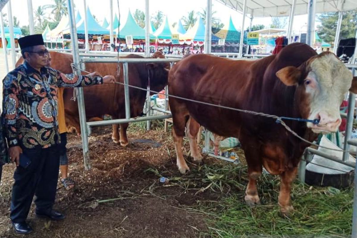 Pemkab Nagan imbau tidak pasok hewan ternak dari luar