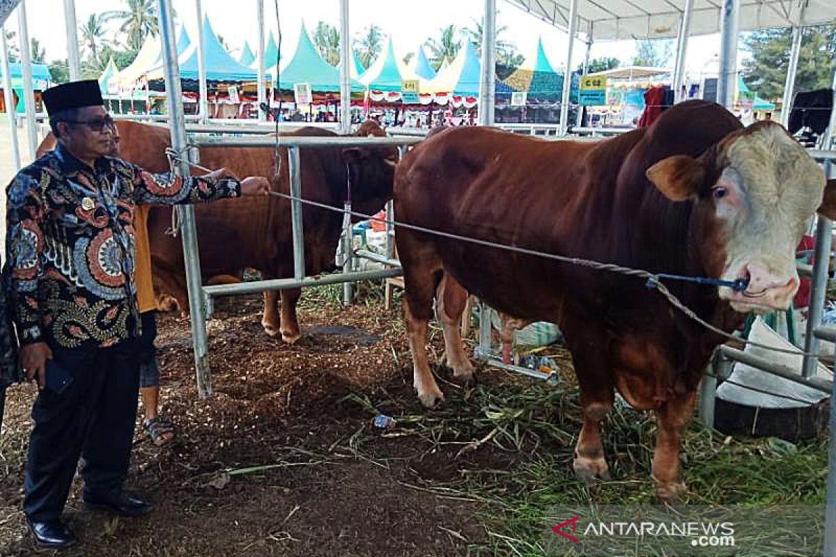 Hindari Antraks, Nagan Raya imbau warga tidak pasok ternak dari luar