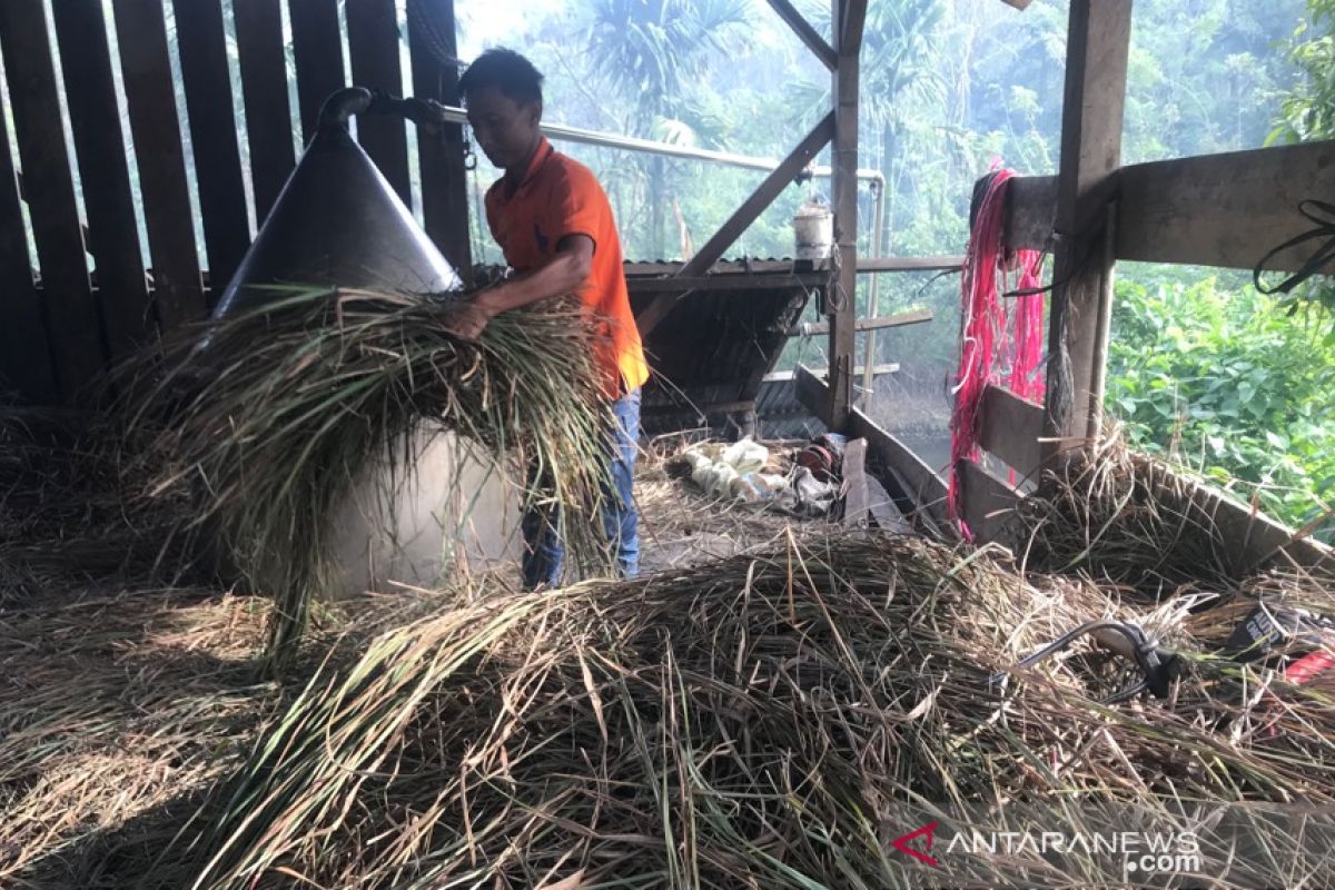 Petani keluhkan harga minyak serai wangi turun jadi Rp150 ribu/kg