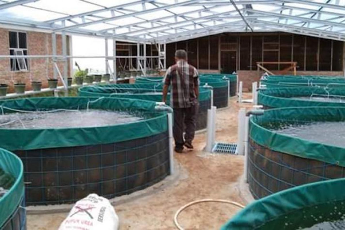 Lima pesantren di Kabupaten Solok terima bantuan pembuatan kolam bioflok