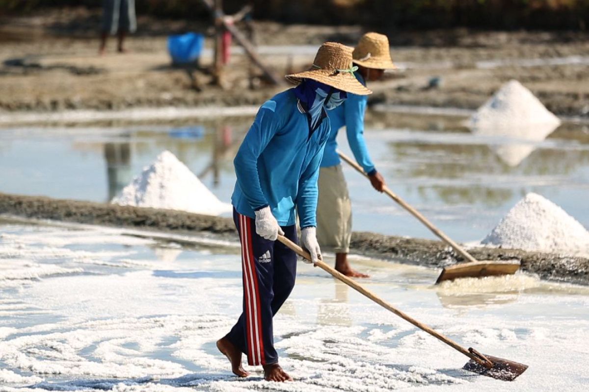 KKP tegaskan program Pugar solusi permasalahan garam di hulu
