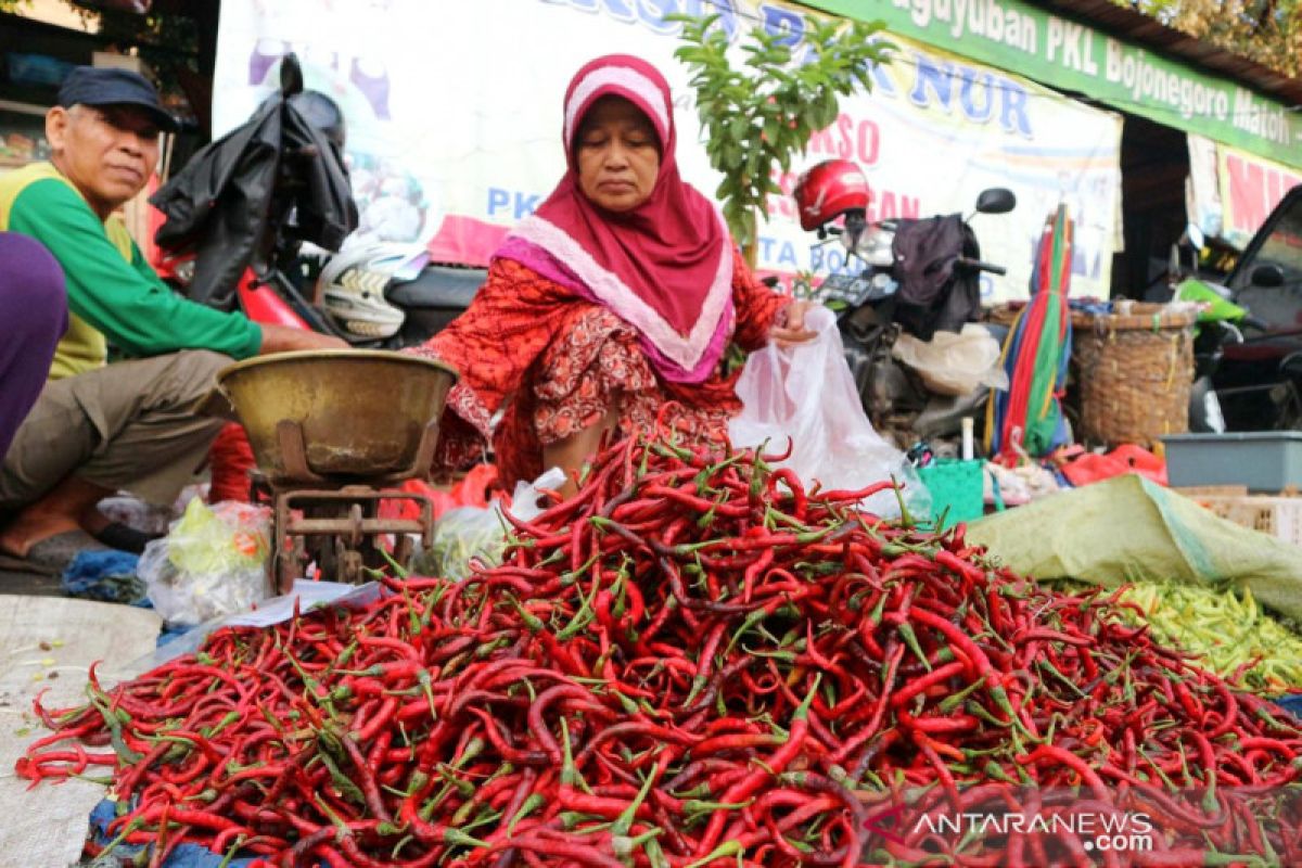 Harga cabai merah keriting di Baturaja tembus Rp80.000/kg, semula Rp60.000/kg