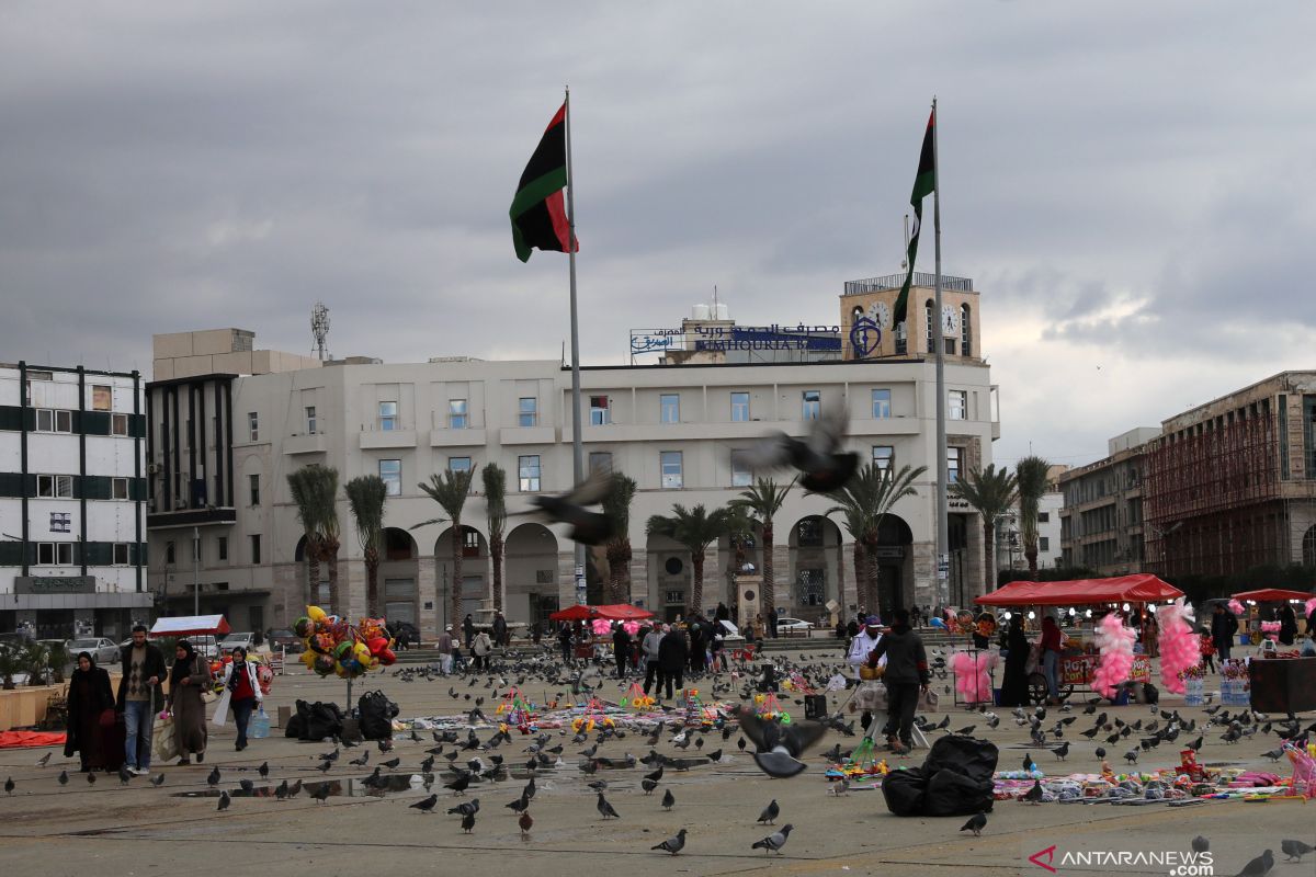 Menlu UAE dukung konferensi Berlin terkait Libya