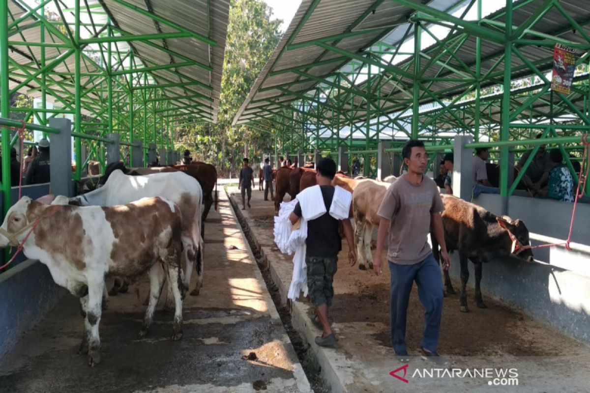 Kulon Progo mengintensifkan pengawasan lalu lintas ternak di pasar hewan