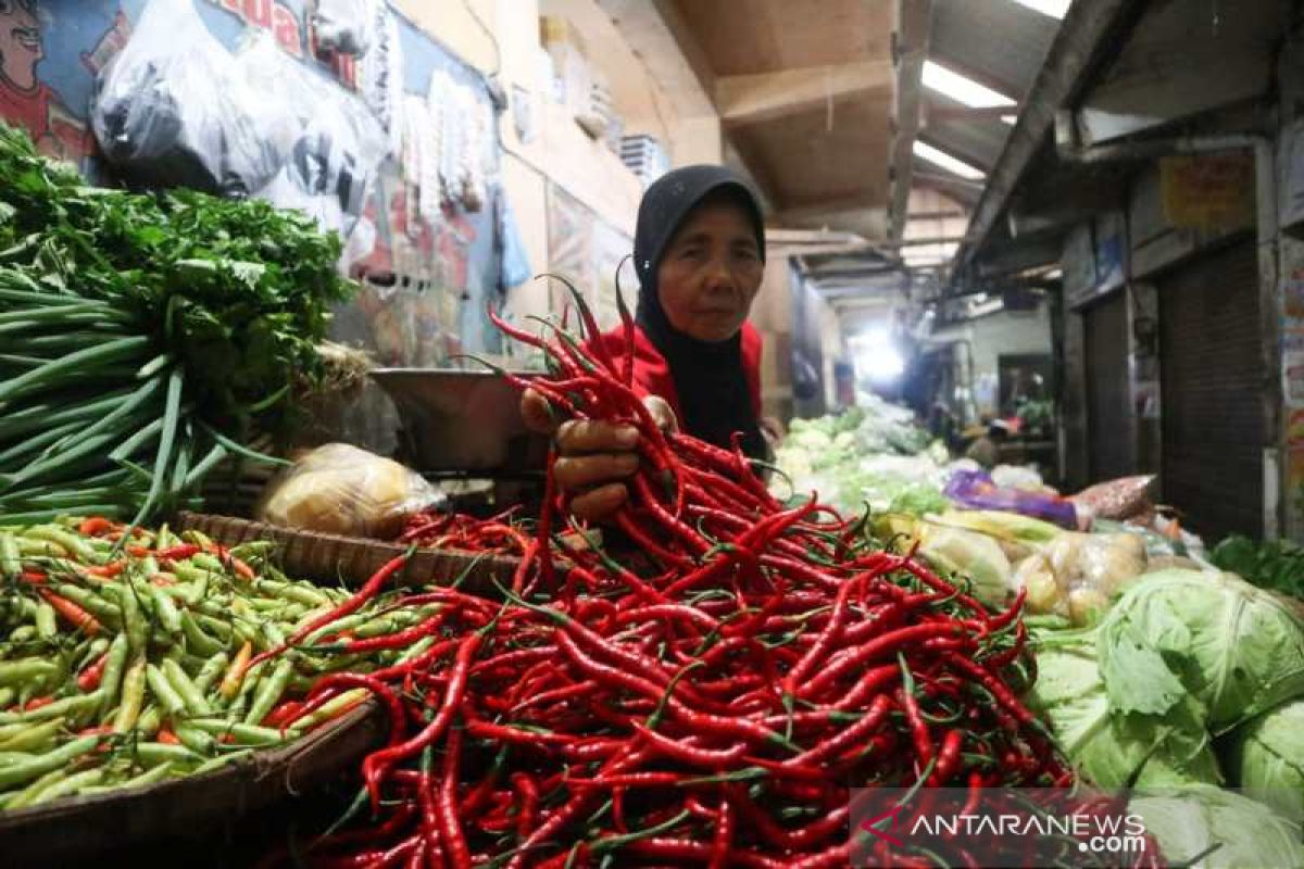 Harga cabai di Temanggung makin "pedas"