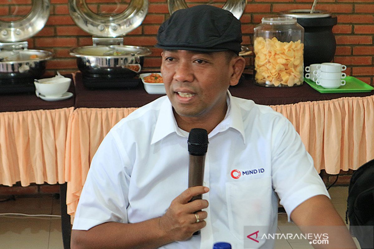 Capex induk BUMN tambang diproyeksikan mencapai Rp24 triliun tahun ini