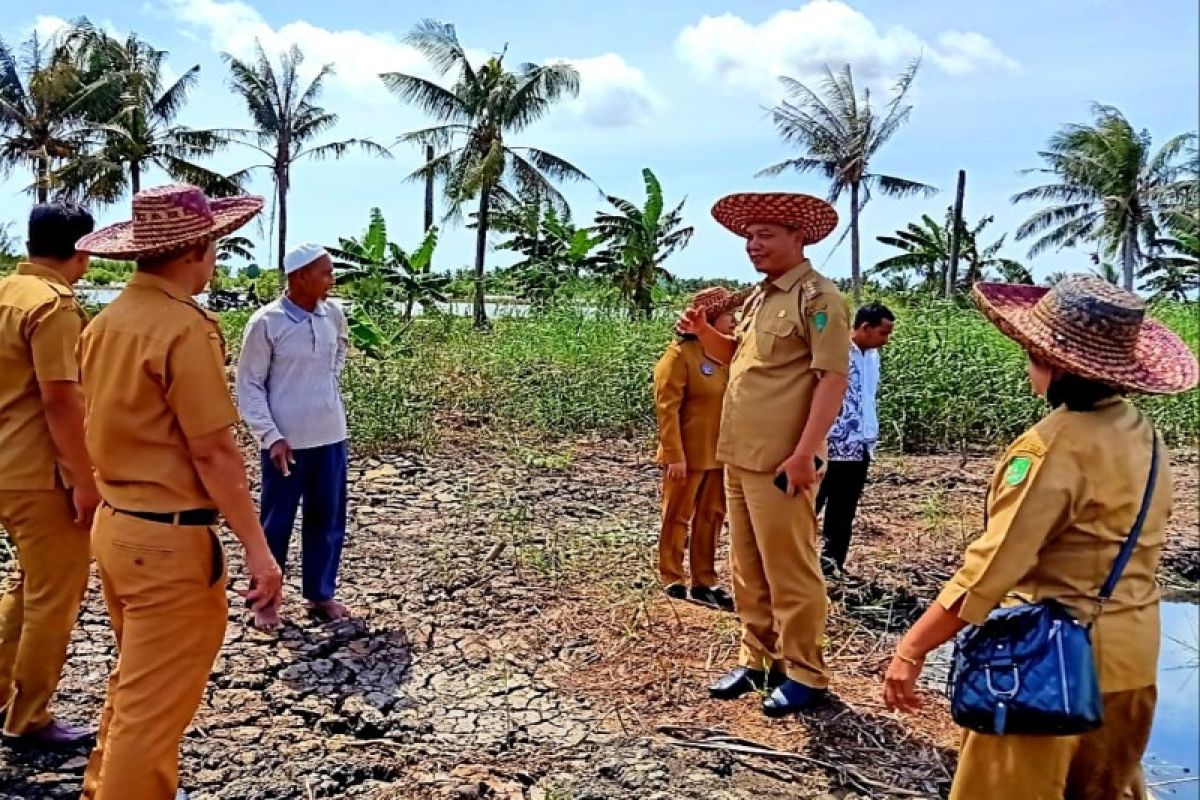 Usai bantuan disalurkan, bupati tinjau budidaya ikan kakap putih di Sukamara