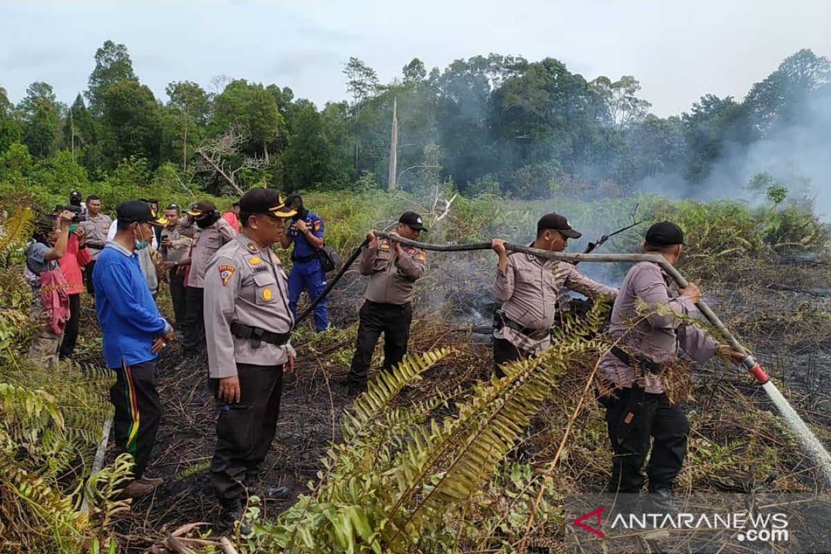 Tersangka Karhutla Riau bertambah jadi 12 orang