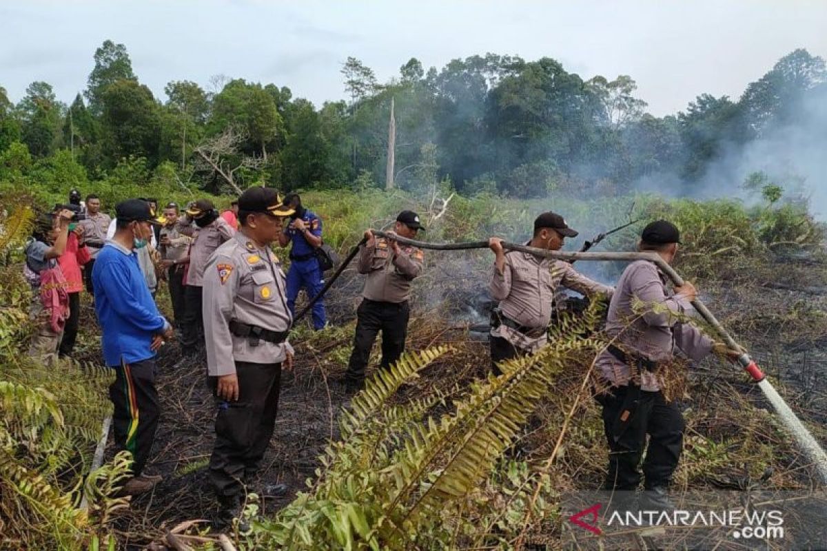 Polisi: Tersangka Karhutla di Riau bertambah jadi 12 orang