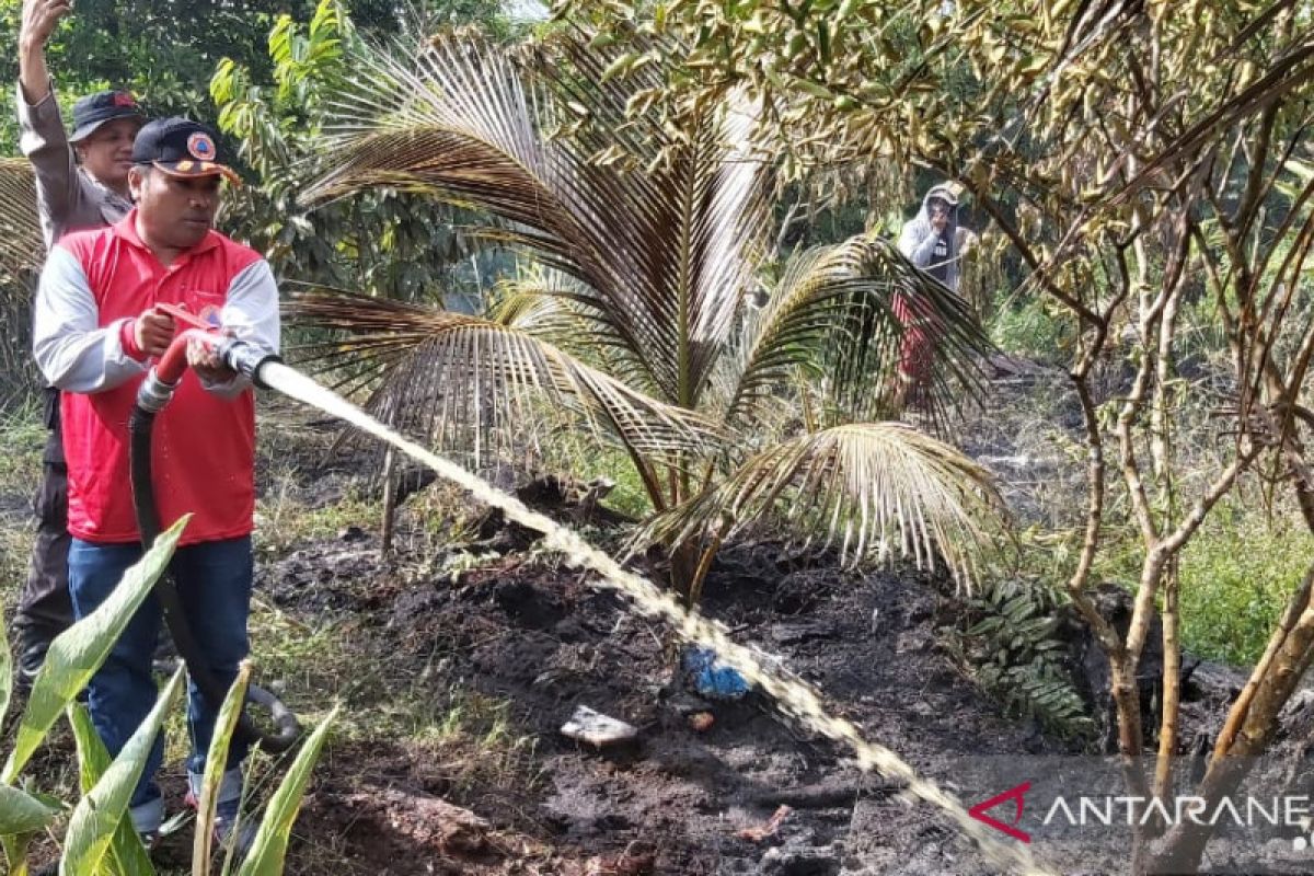 2,5 hektare lahan Pekanbaru terbakar di awal tahun 2020