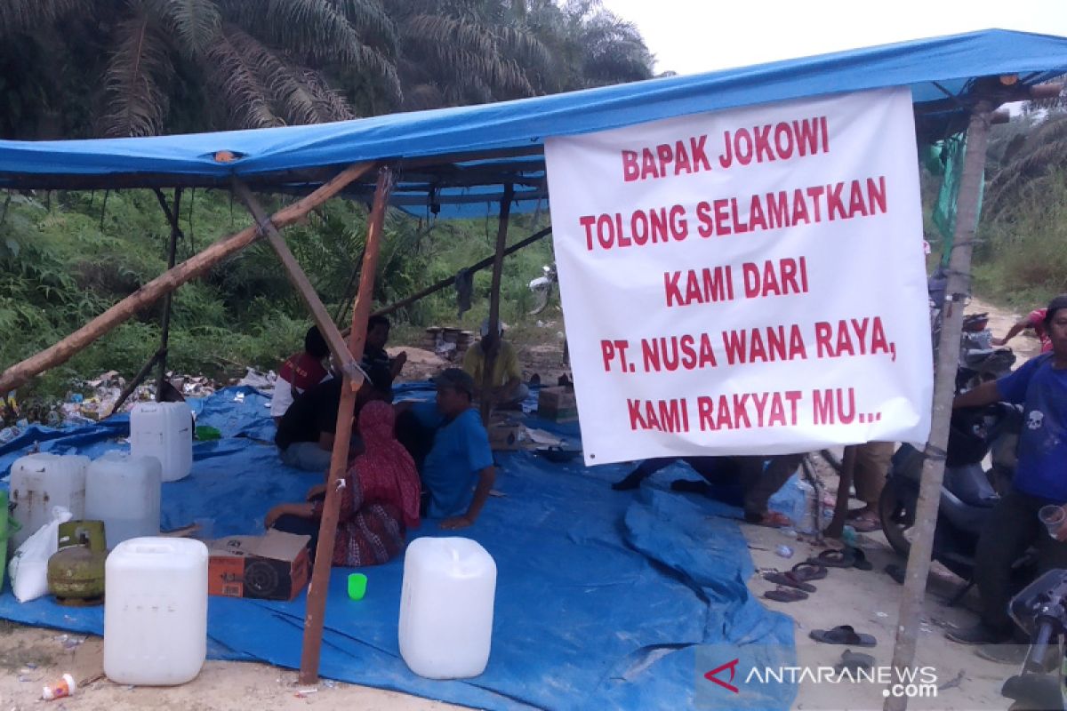 Pakar: Konflik lahan sawit di Gondai-Riau akibat kurang pengawasan