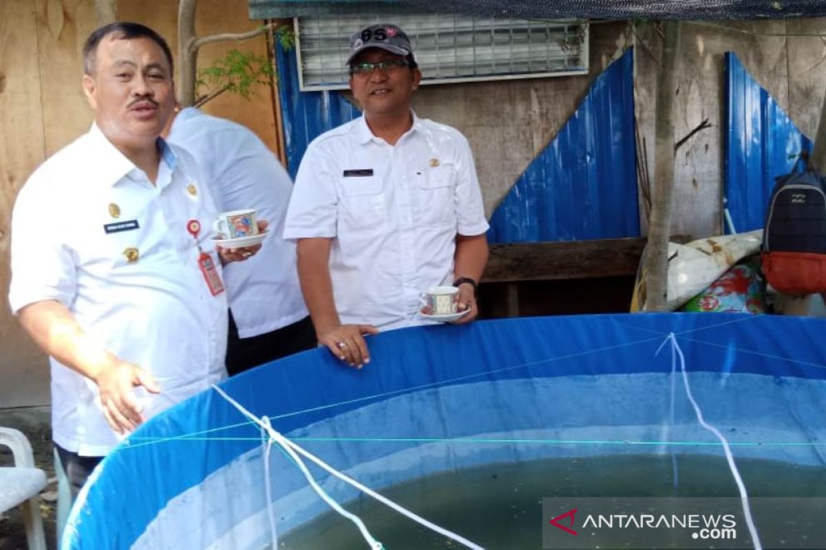 DKP Sulteng berdayakan korban bencana dengan kolam ikan semi intensif  (vidio)