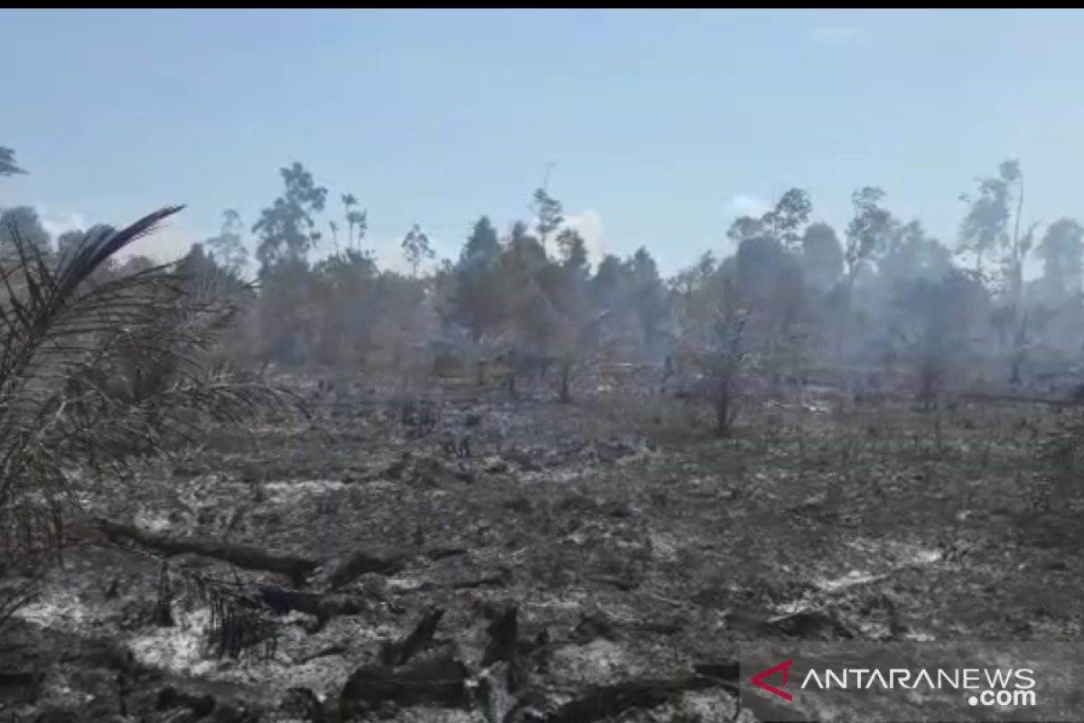 Lahan terbakar di Sungai Apit Siak, 10 embung dibuat untuk antisipasi