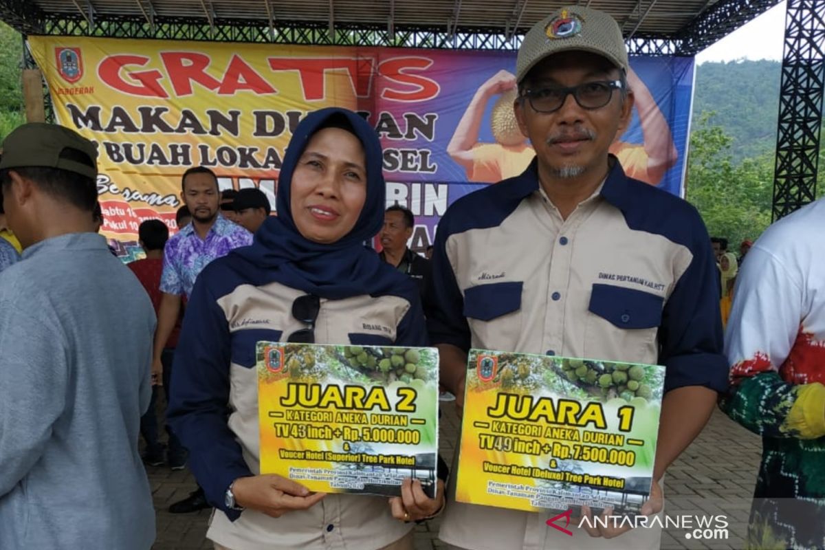 Pampakin Maratus dan Mantuala kuning dari HST juara kontes durian