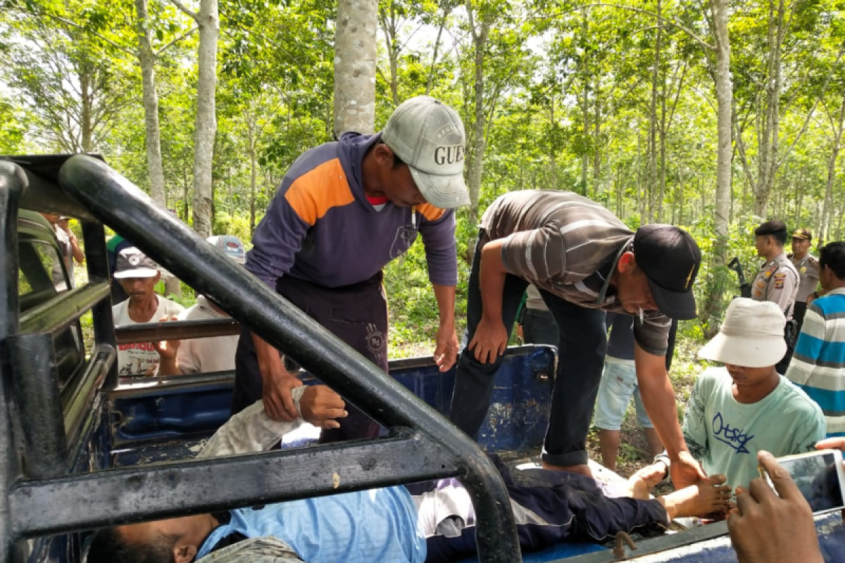 Satu orang tewas tertembak rebutan lahan  Register 45 Mesuji