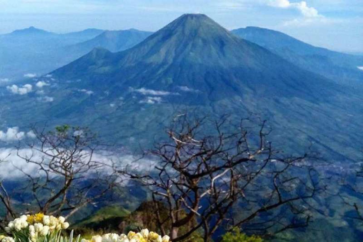 Pendakian Gunung Sindoro dibuka kembali mulai 22 Januari