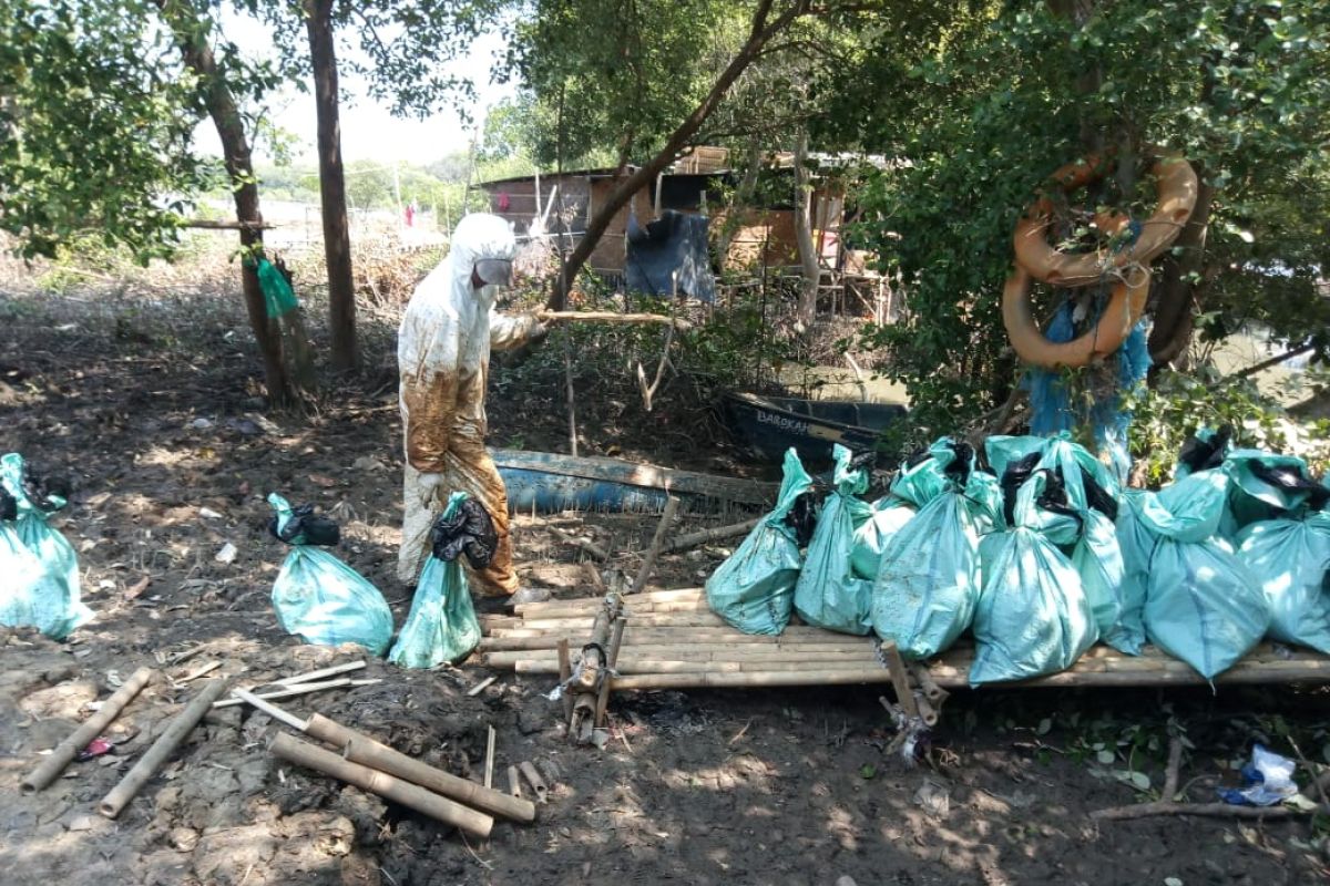 Terdampak tumpahan minyak, nelayan Muaragembong Bekasi tagih kompensasi tahap dua