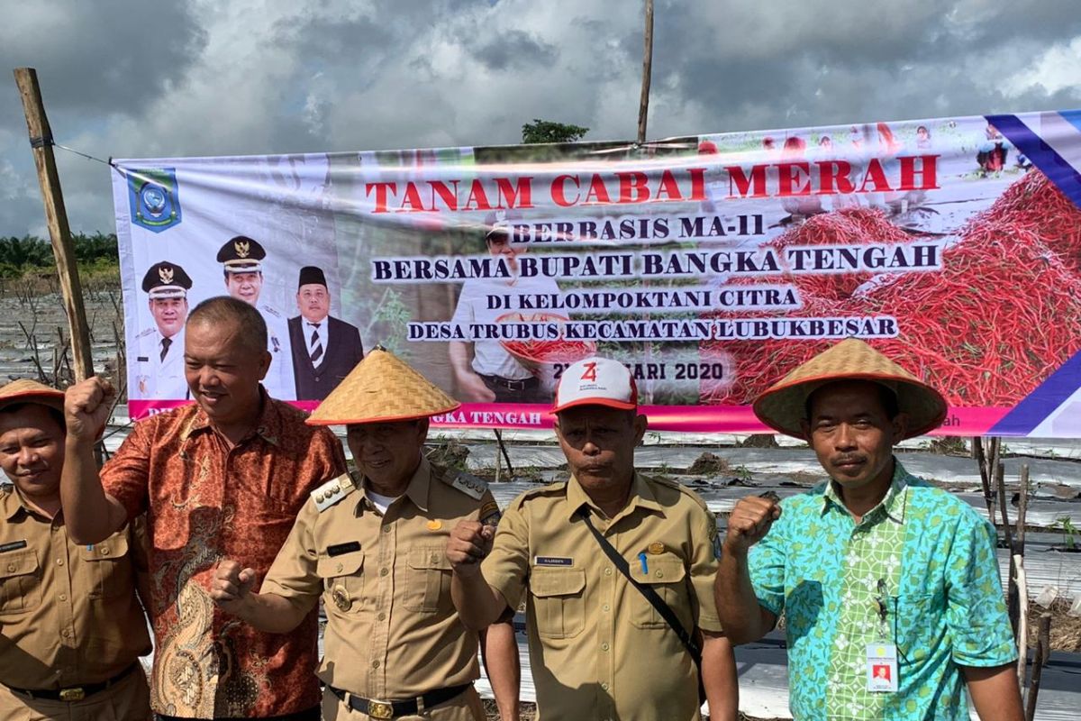 Kecamatan Lubuk Besar diproyeksikan jadi sentra tanaman hortikultura