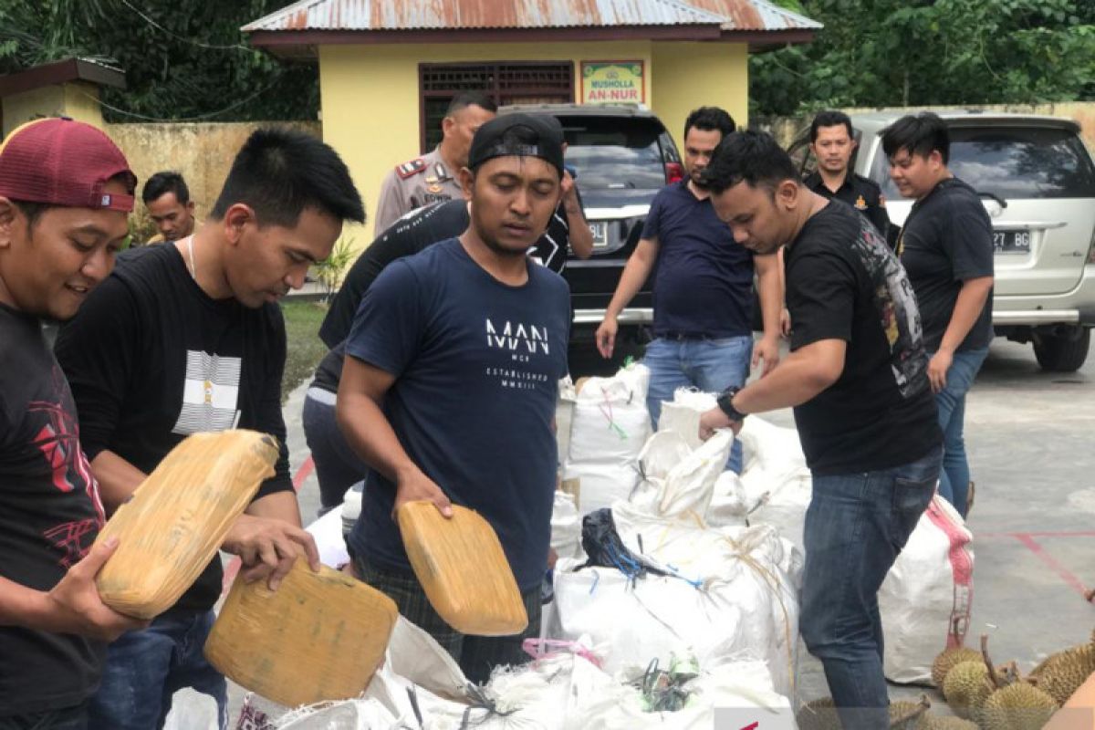 Polisi amankan tiga tersangka pengedar ganja sampai ke Sumatera