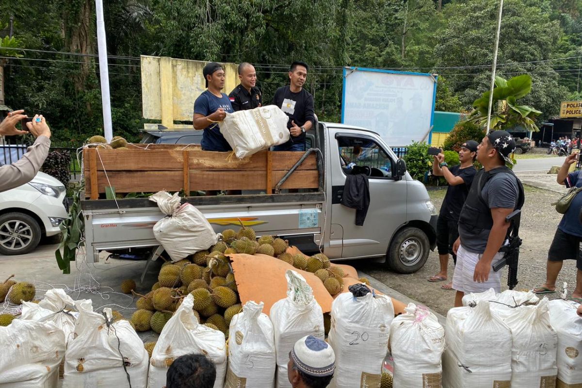 Polisi sita 254 kilogram ganja selundupan lewat truk pengangkut durian