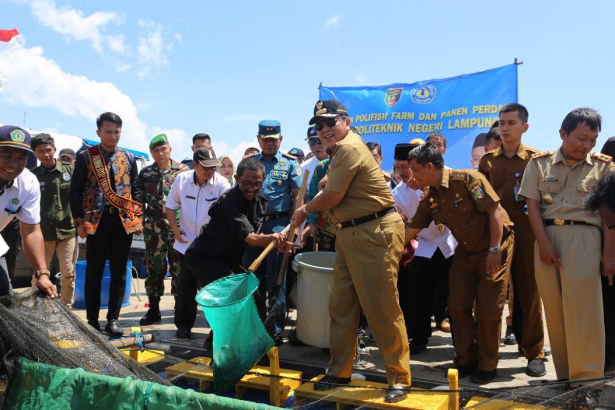 Gubernur Lampung panen perdana keramba jaring apung budidaya ikan dan udang Polinela