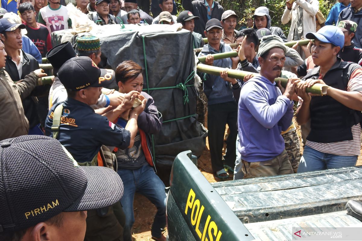 Harimau masuk perangkap di Muara Enim dievakuasi ke Lampung