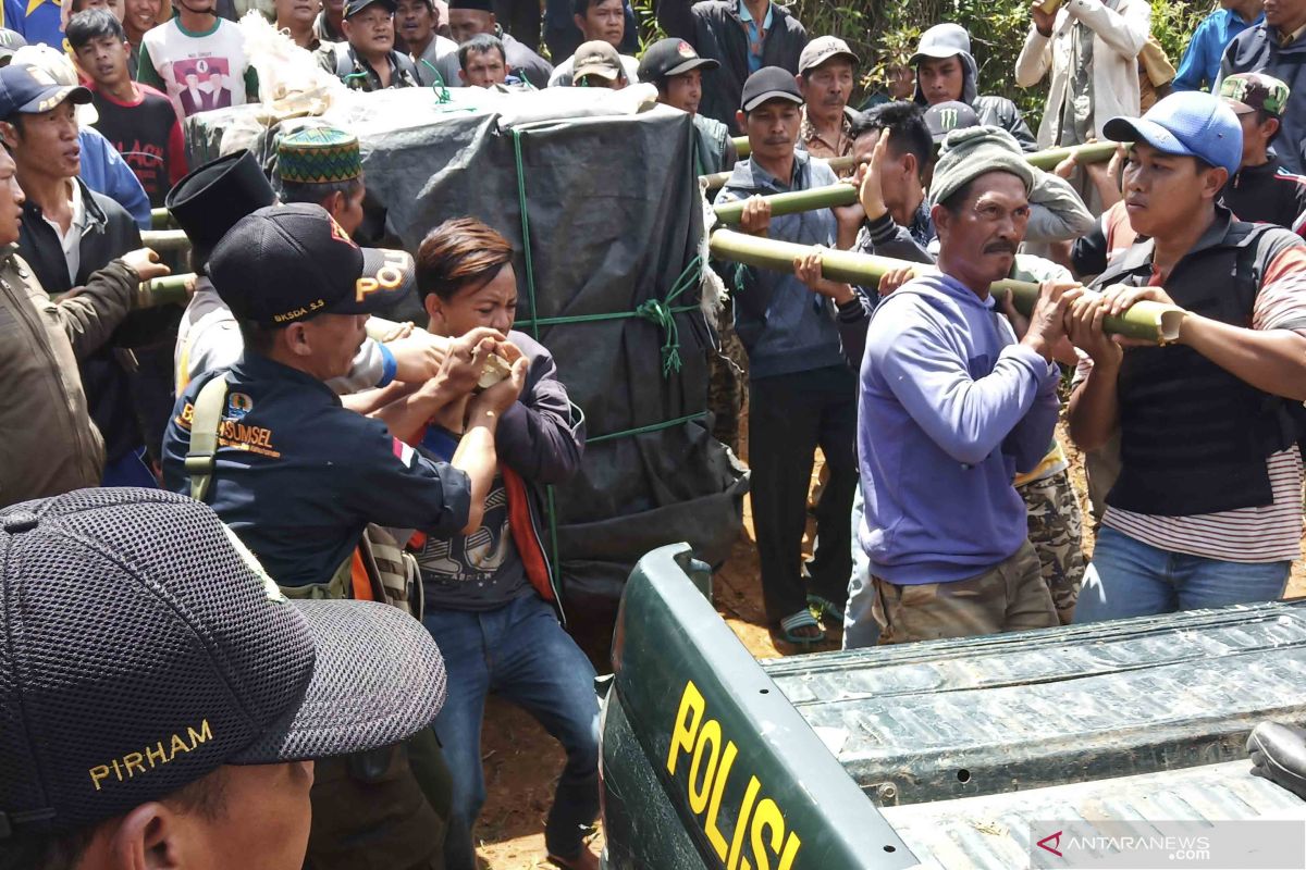 Harimau terperangkap di Muara Enim dievakuasi ke Lampung