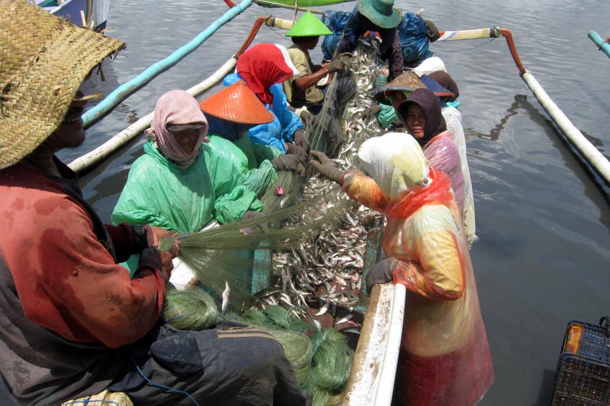 Masyarakat pesisir Jember diminta waspadai gelombang tinggi