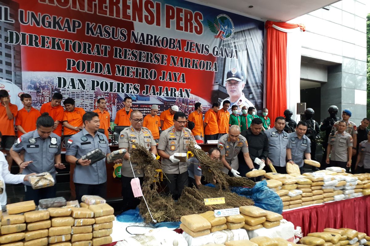 Ladang ganja di Mandailing berpotensi hasilkan 60 ton ganja