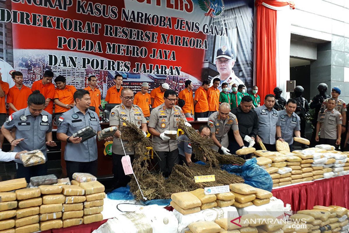 Ladang ganja di Mandailing Natal berpotensi hasilkan 60 ton ganja