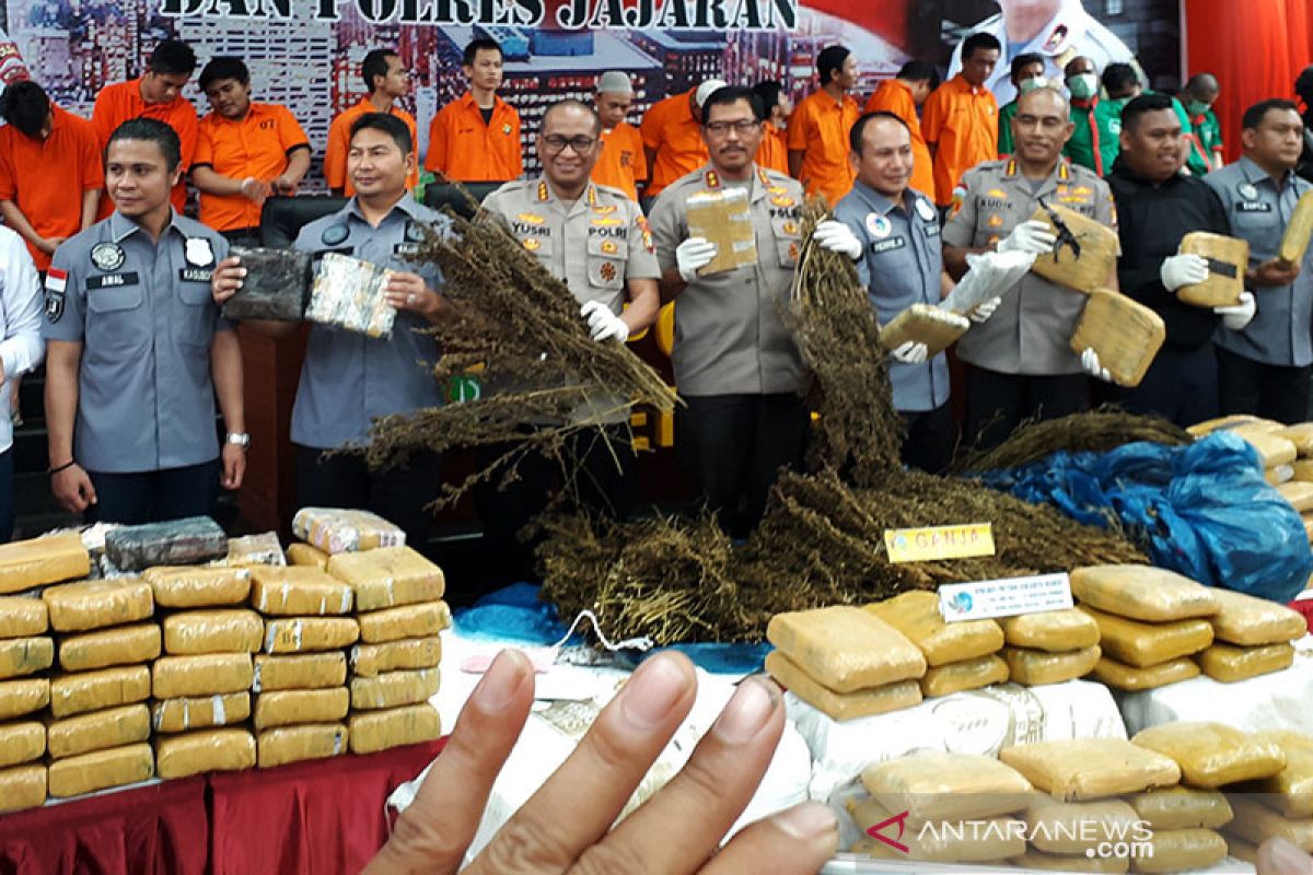 5 hektare ladang ganja di Madina Sumut hasilkan 60 ton ganja