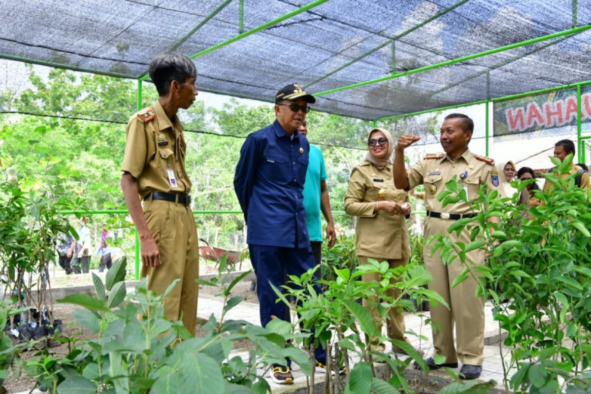 Jagung-bawang NA masuk jajaran 24 varietas unggul nasional