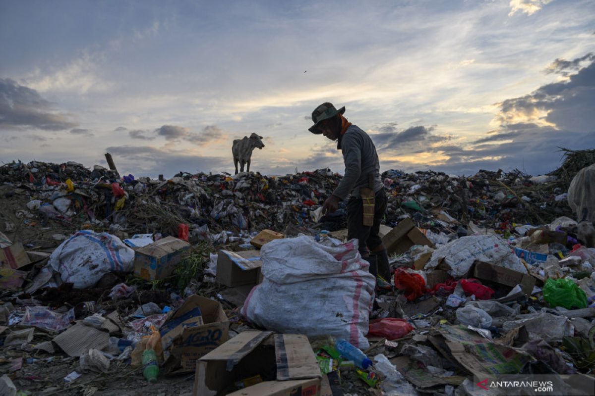 KLHK dorong 3,7 juta pemulung se Indonesia masuk ke sektor formal pengolahan sampah