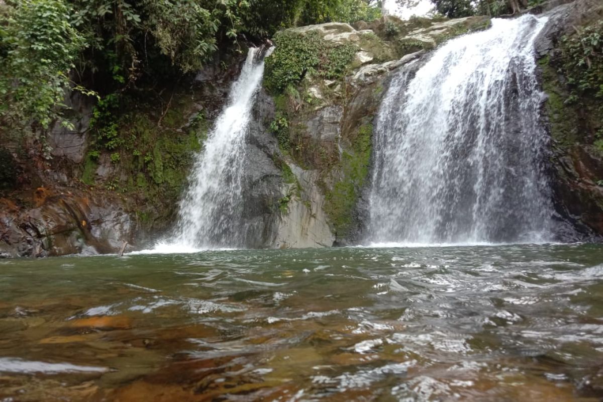 Anggrek Putih jadi ikon objek wisata Air Terjun Palano di Pesisir Selatan