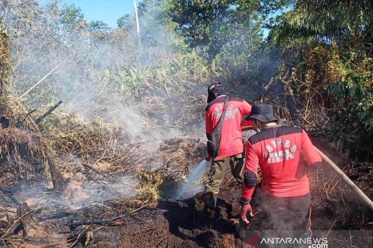 Dalam dua hari wilayah ibu kota baru terjadi karhutla