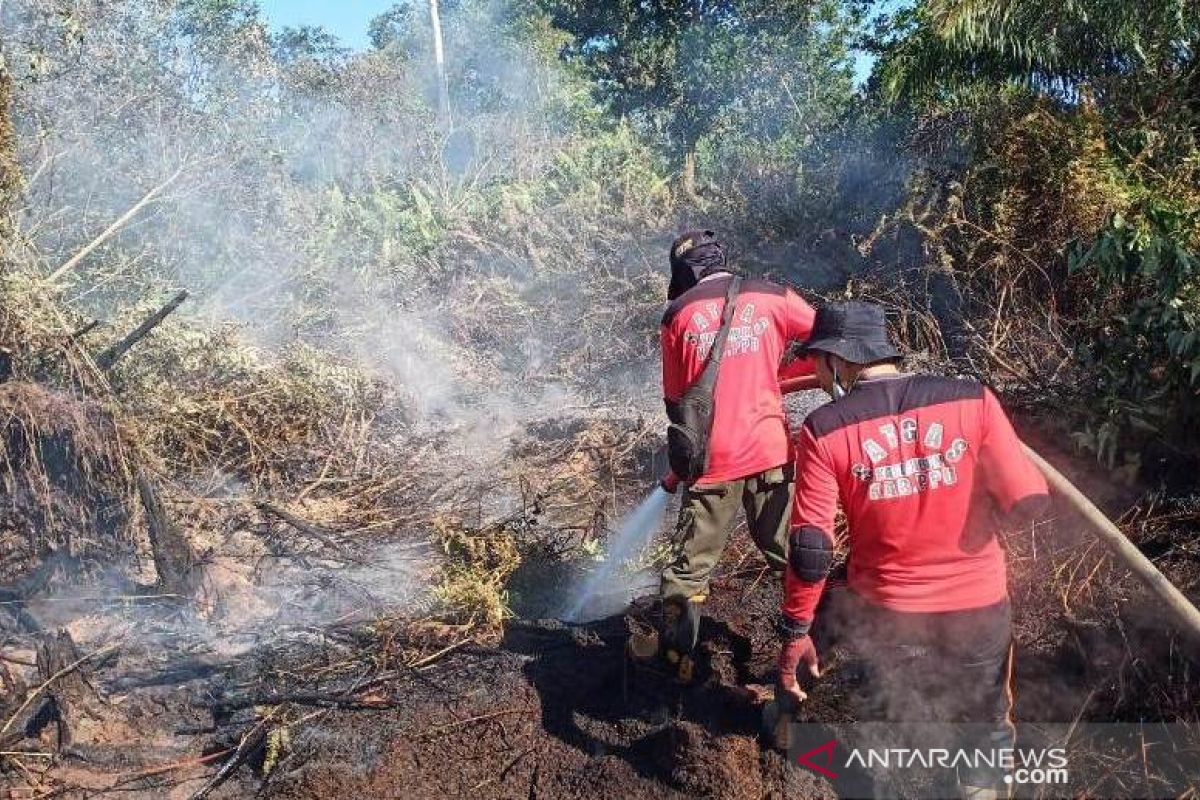 Tujuh karhutla terjadi di wilayah ibu kota baru dalam waktu dua hari