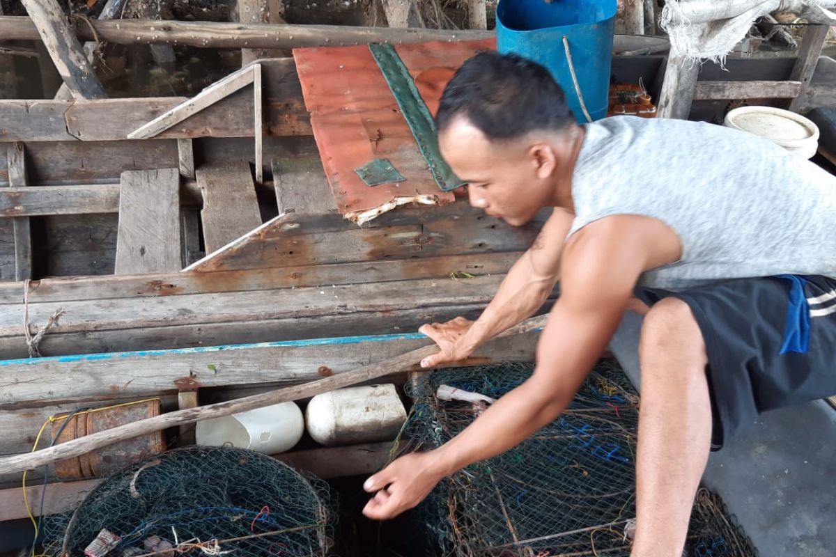 Limbah sebabkan matinya ikan di perairan Kawal Bintan