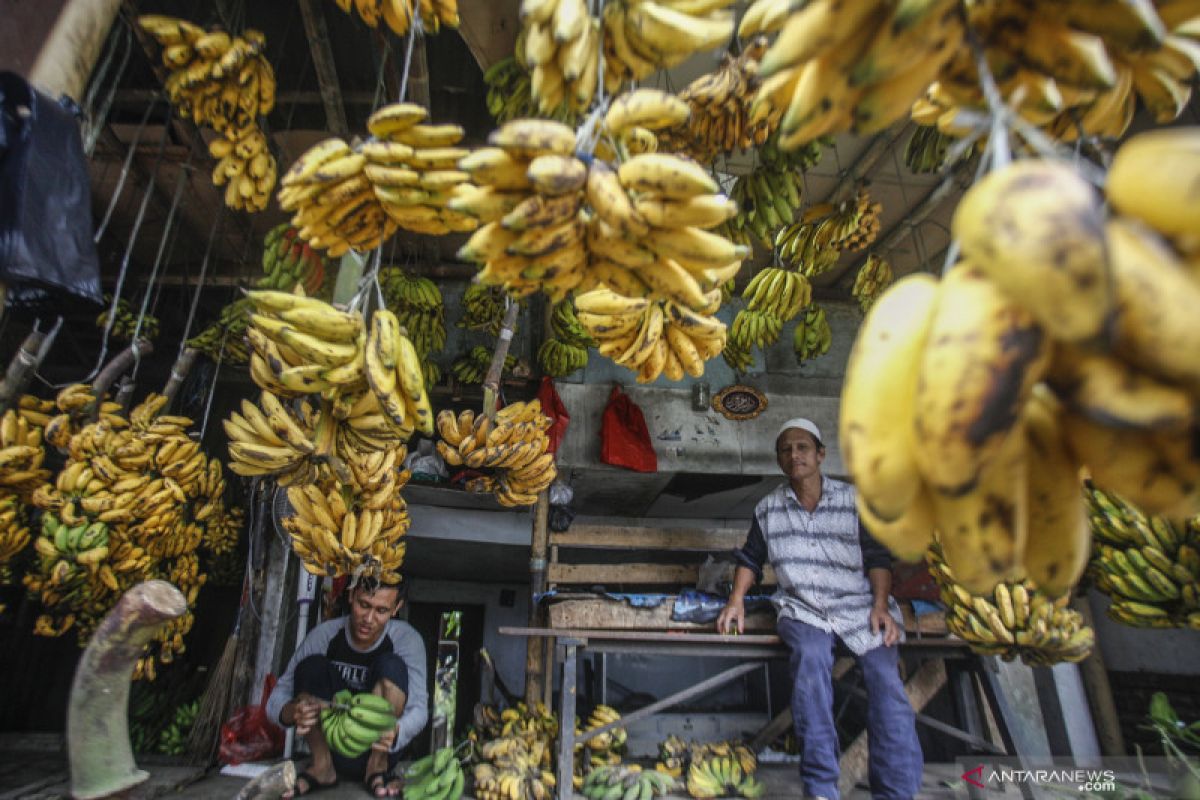 Terapi Pisang untuk kesehatan