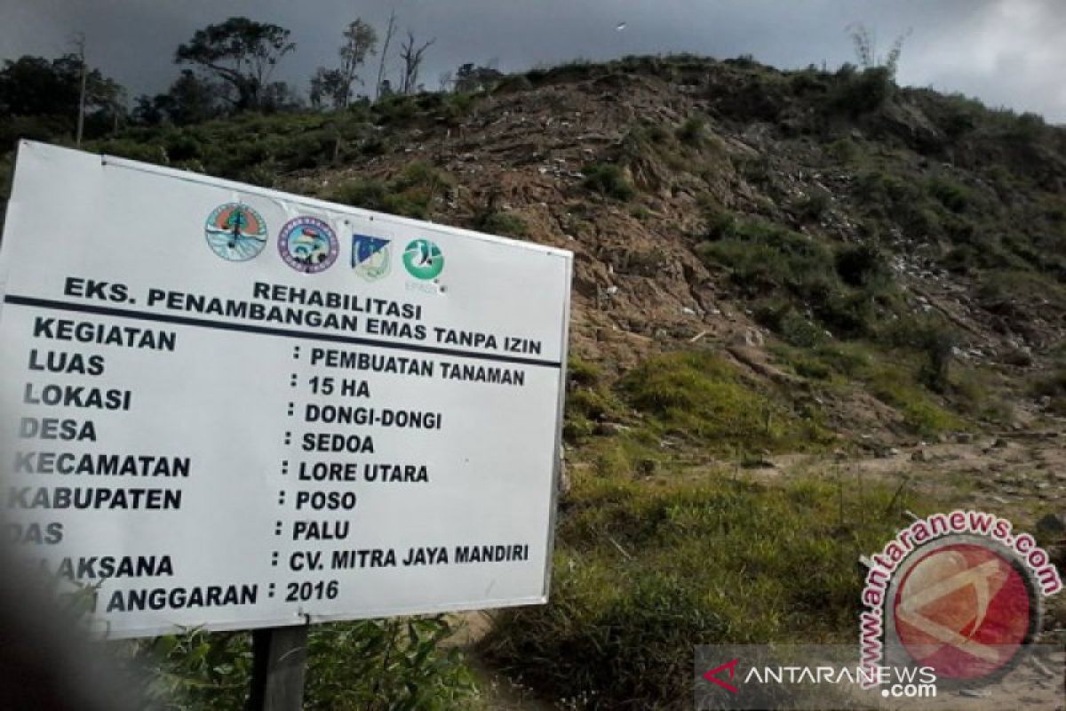 TNLL tanam 5.000 pohon di areal PETI Dongi Dongi