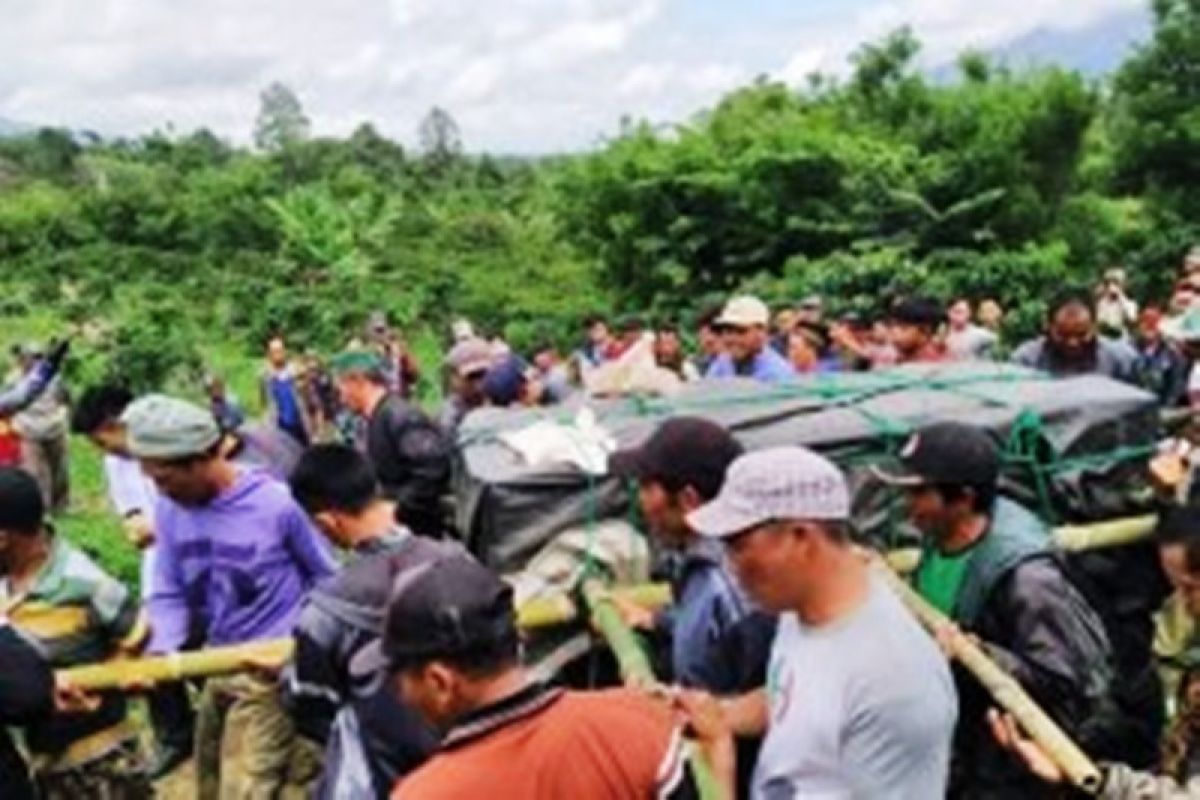 Masih perlu diobservasi, Harimau sumatera ditranslokasi ke Lampung