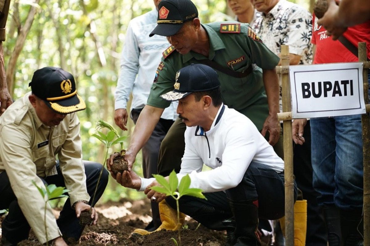 Petani Pati didorong budi dayakan umbi porang