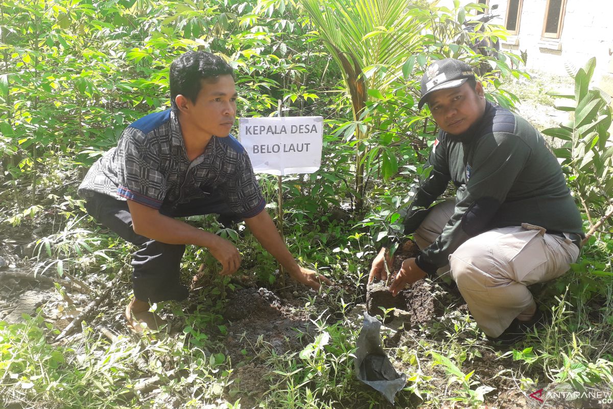 Mangrove Tanjungpunai jadi destinasi wisata baru di Bangka Barat