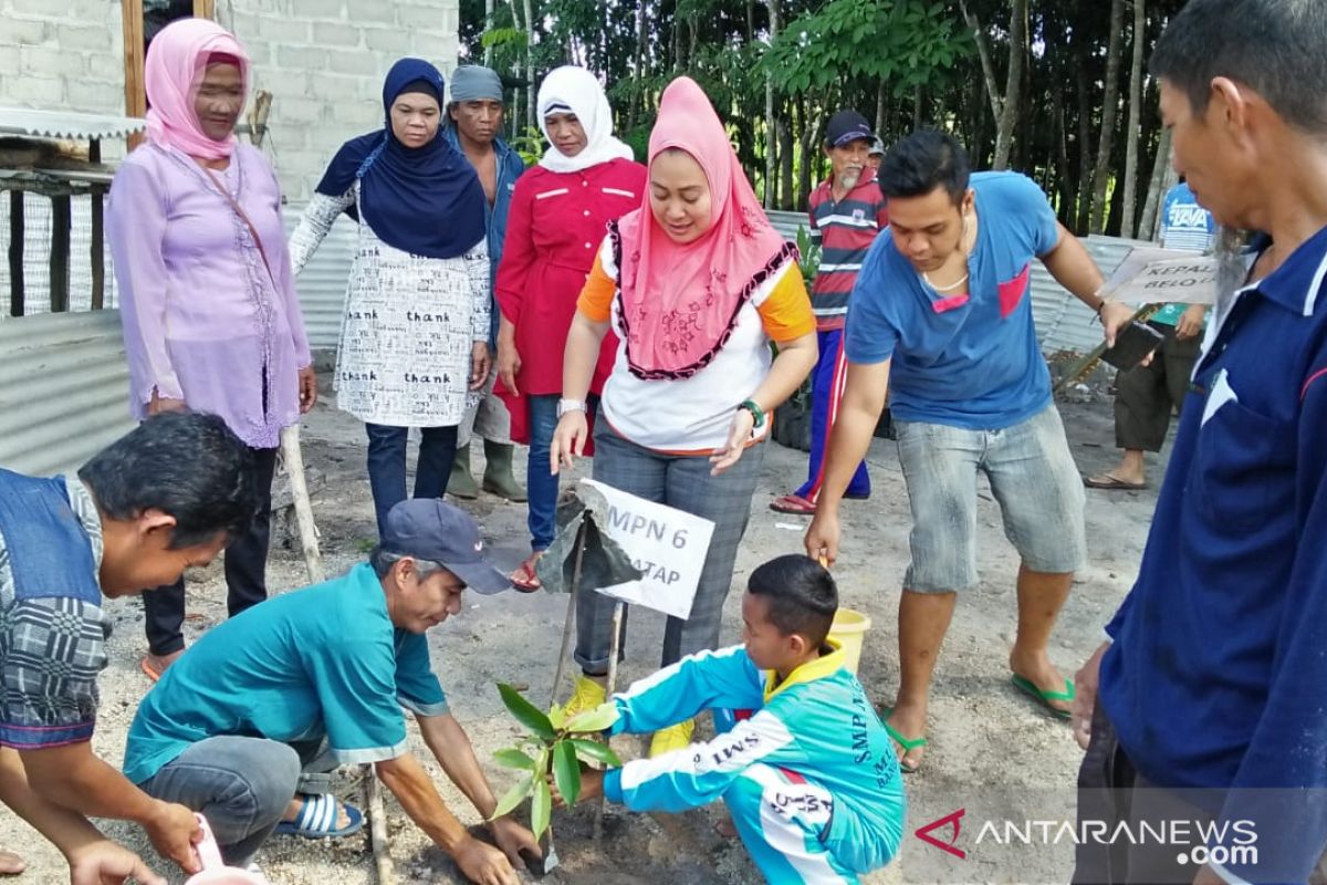 BPDASHL Babel salurkan bantuan bibit tanaman buah