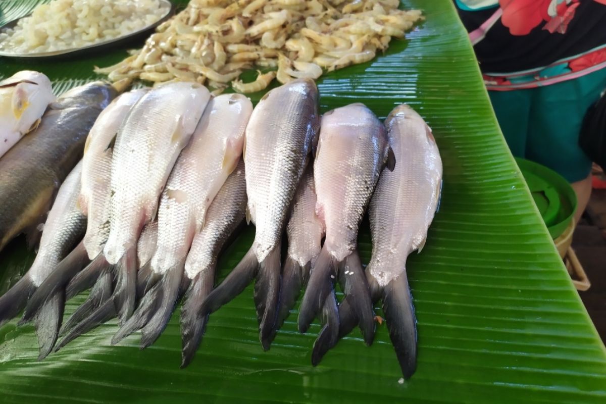 Jelang malam Imlek, ikan Bandeng banyak dicari